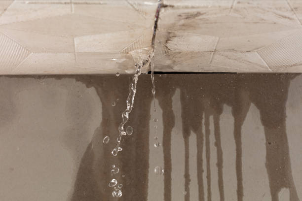 Professional Flood Damage Cleanup technician working in Wilberforce, OH